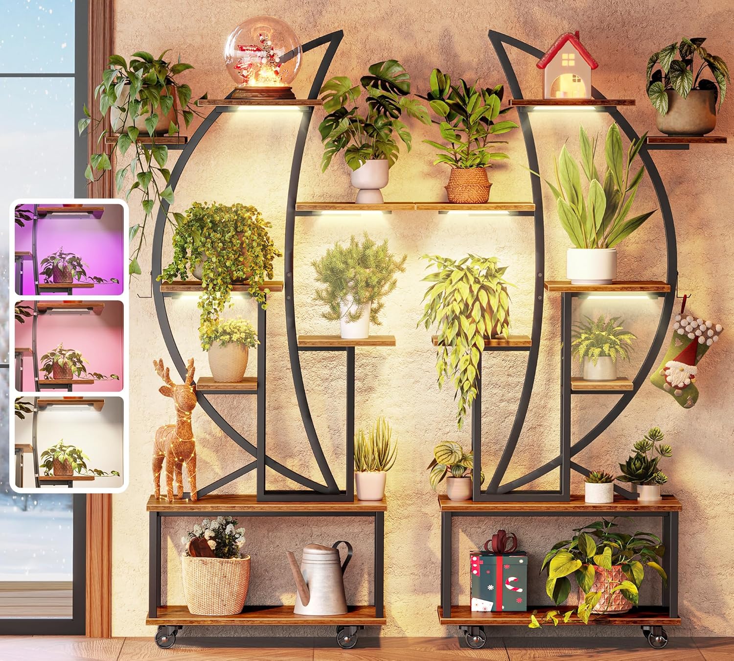 The Felicity Crescent Duo