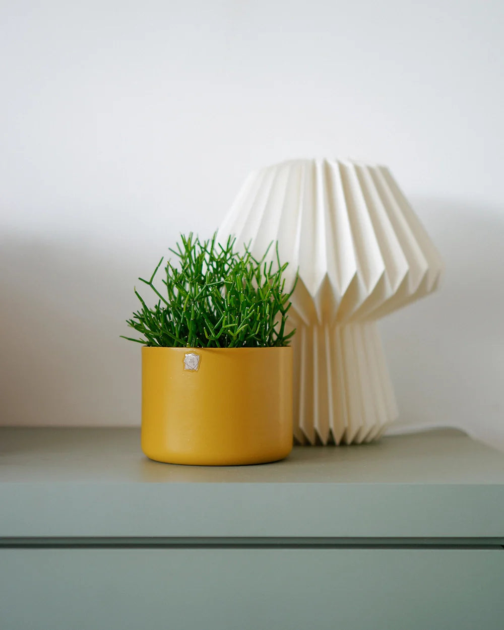 Cachepô alumínio reto 12