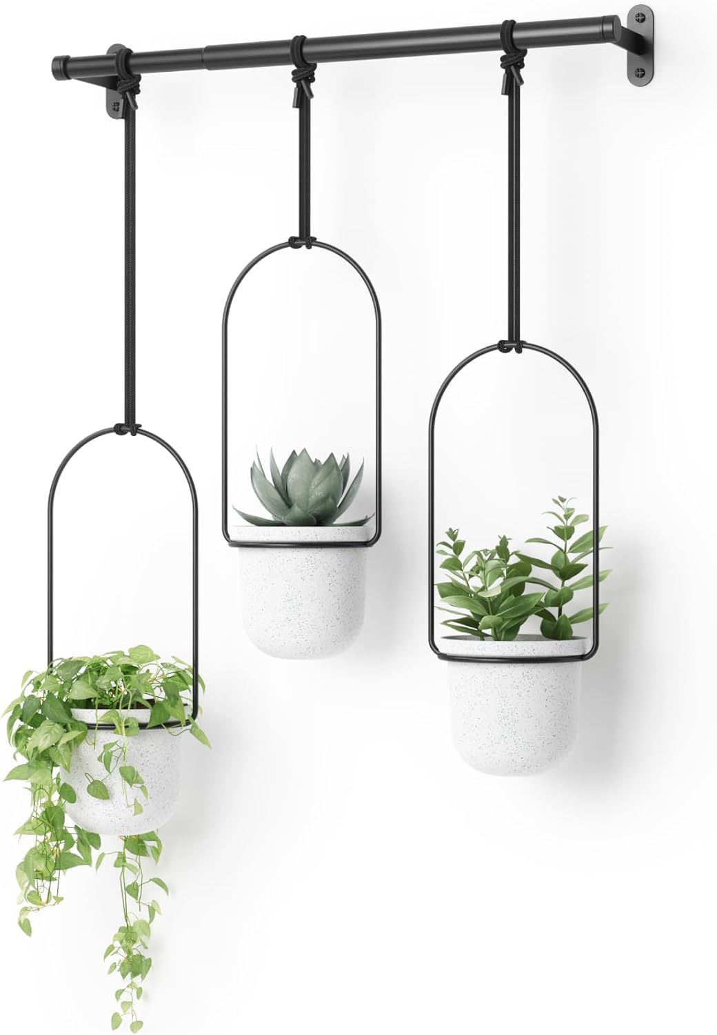 The Aeria Rail Hanging Planters