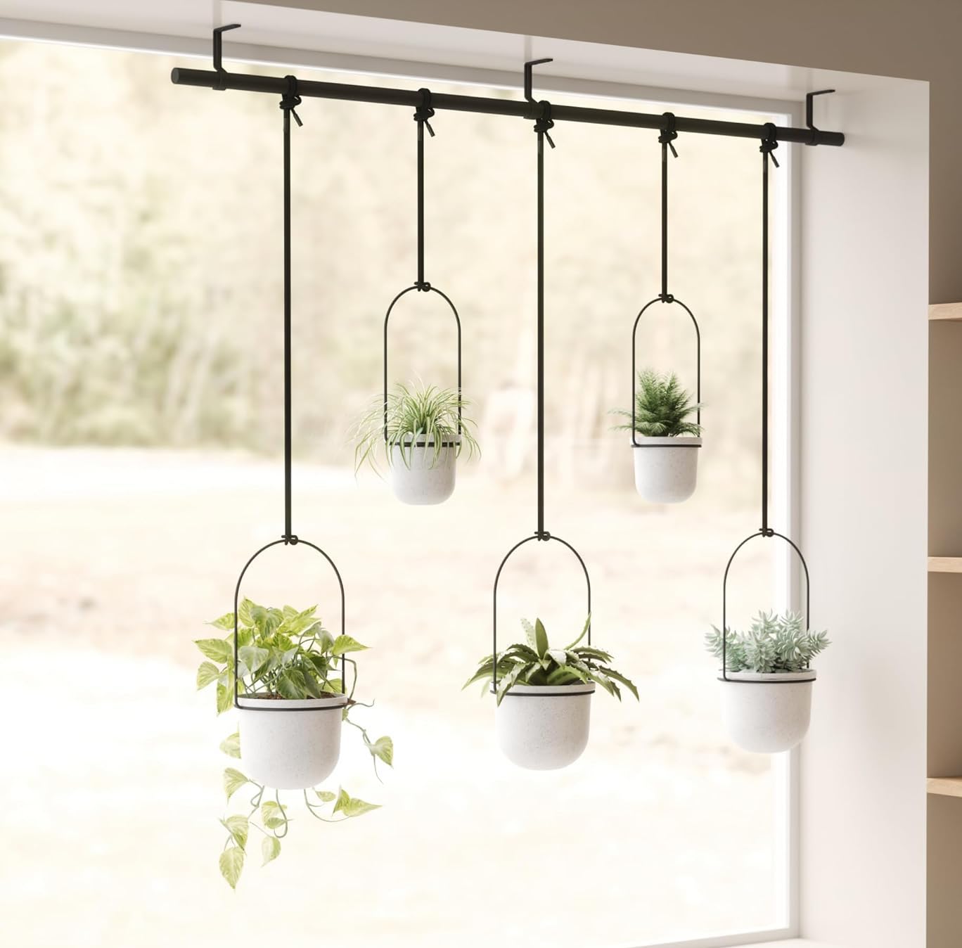 The Aeria Rail Hanging Planters