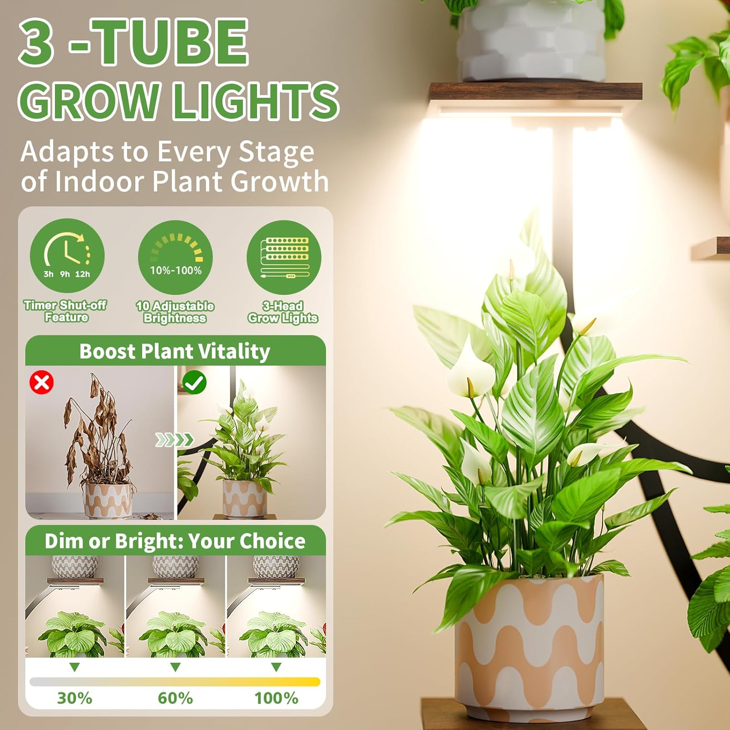 Selene Crescent Stand