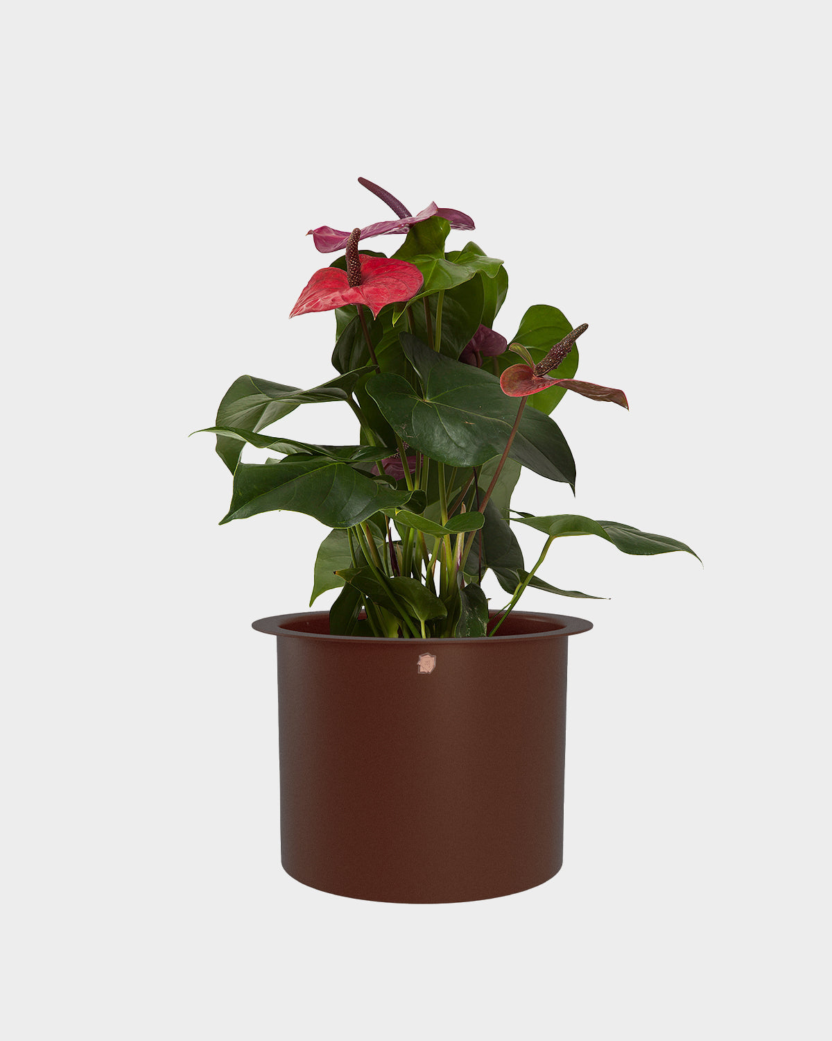 Cachepô alumínio com aba 21