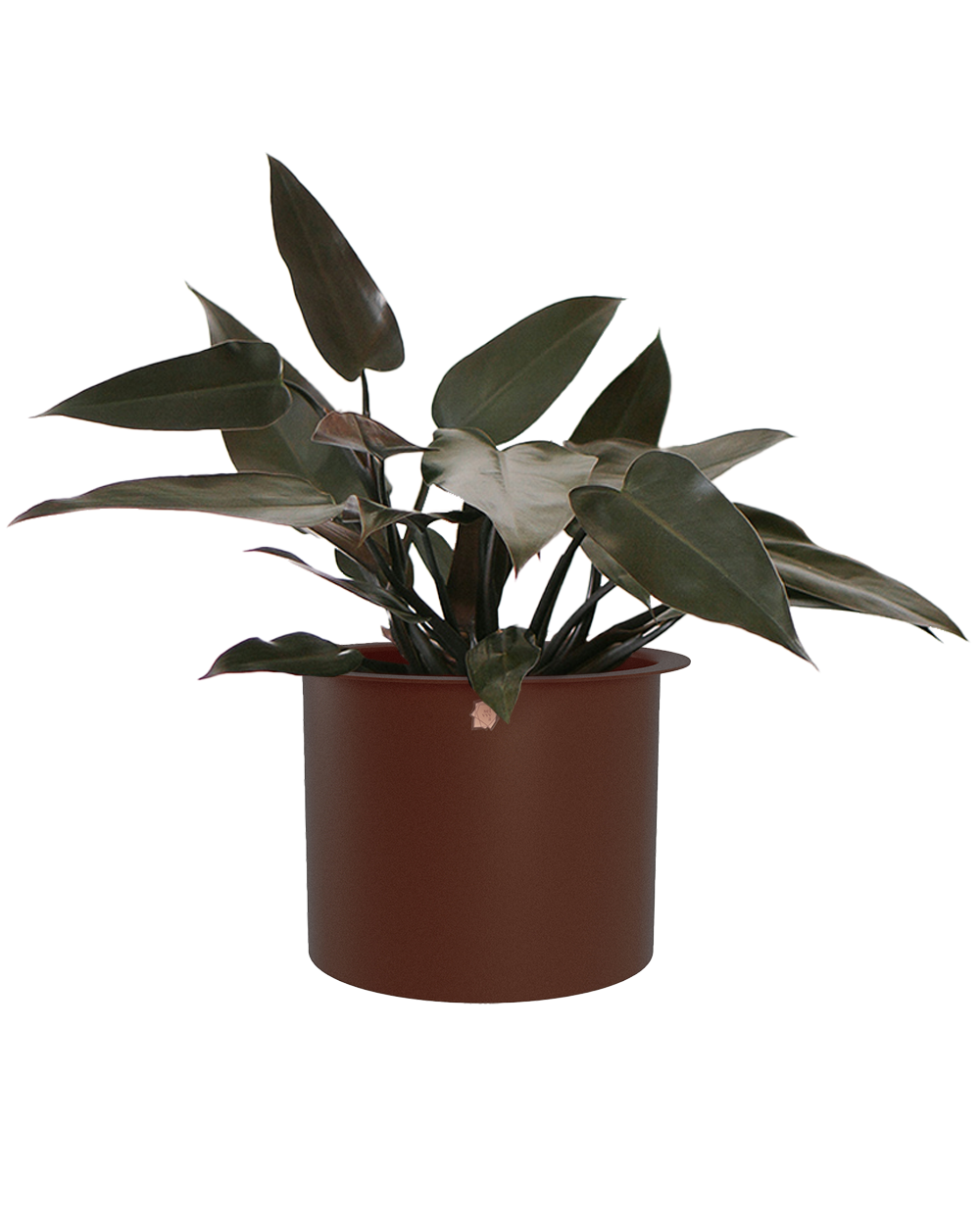 Cachepô alumínio com aba 21