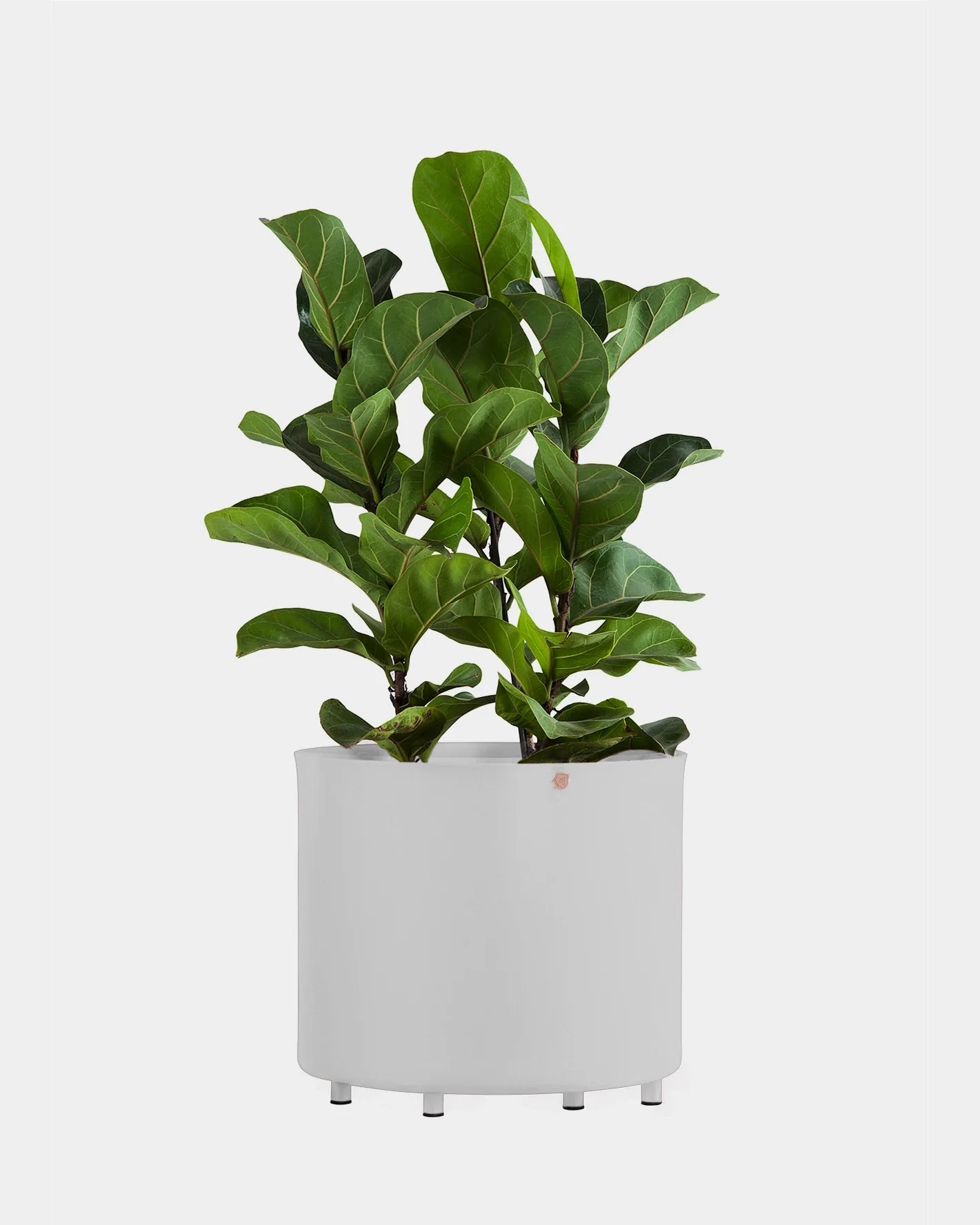 Vaso alumínio reto 33 com pé e furo na base - Pronta entrega