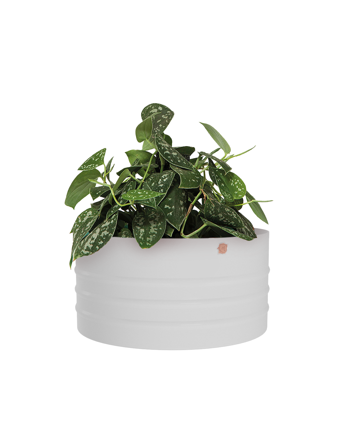 Cachepô alumínio cuia friso 25