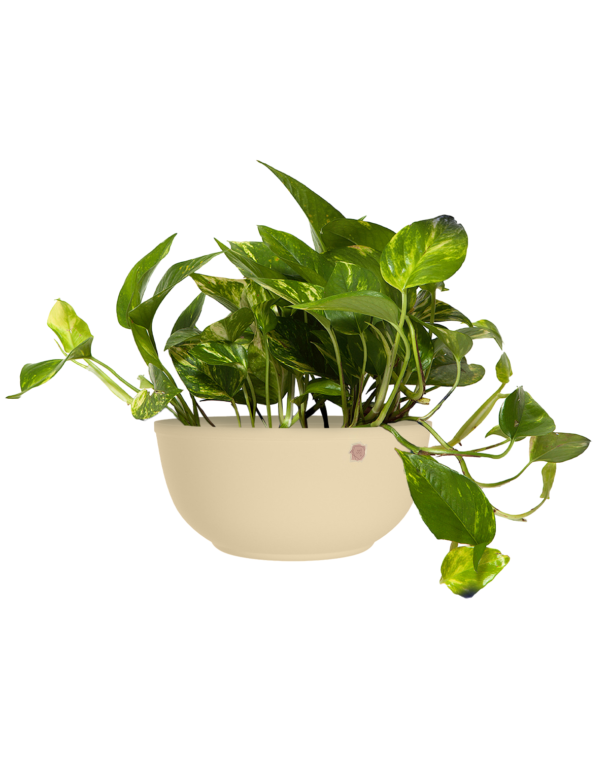 Cachepô alumínio cuia liso 25