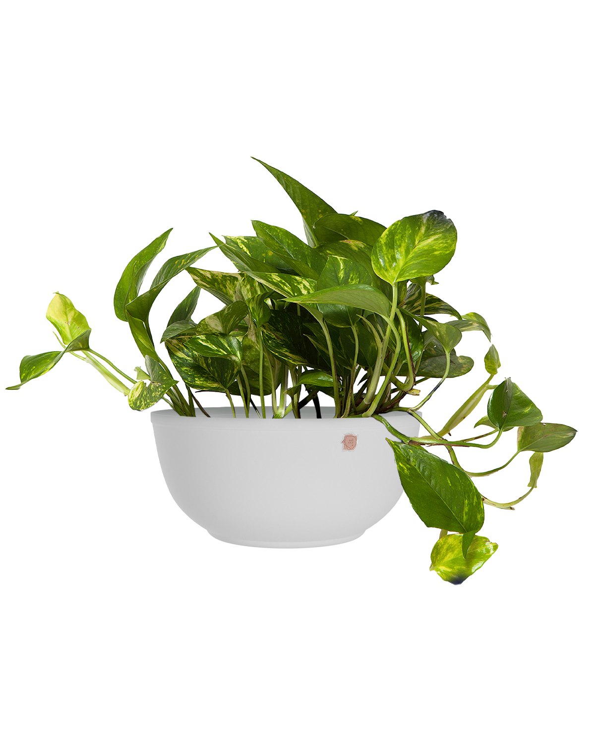 Cachepô alumínio cuia liso 25