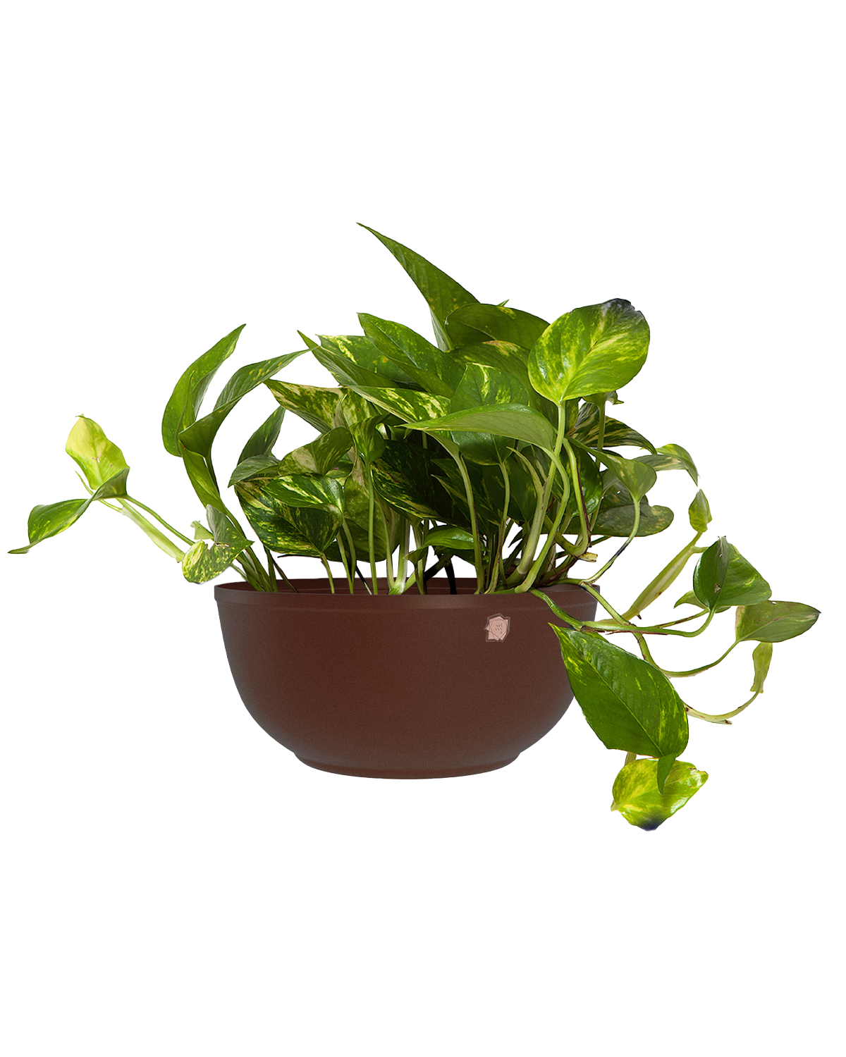 Cachepô alumínio cuia liso 25