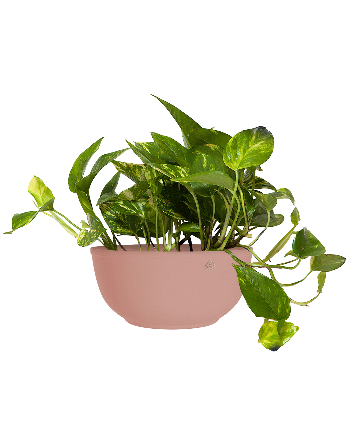 Cachepô alumínio cuia liso 25