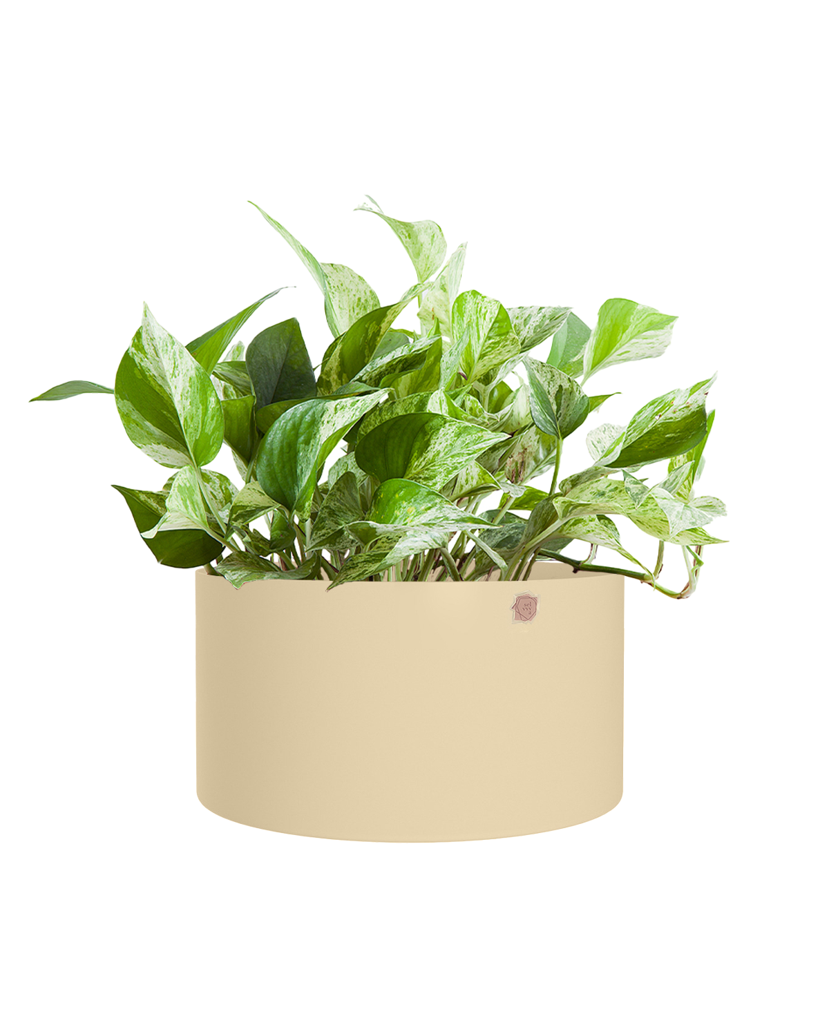 Cachepô alumínio cuia reto 25