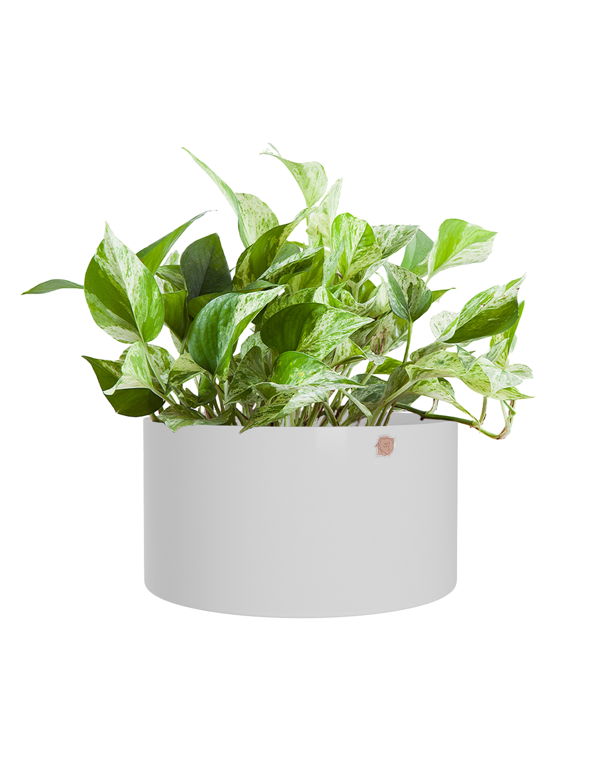 Cachepô alumínio cuia reto 25