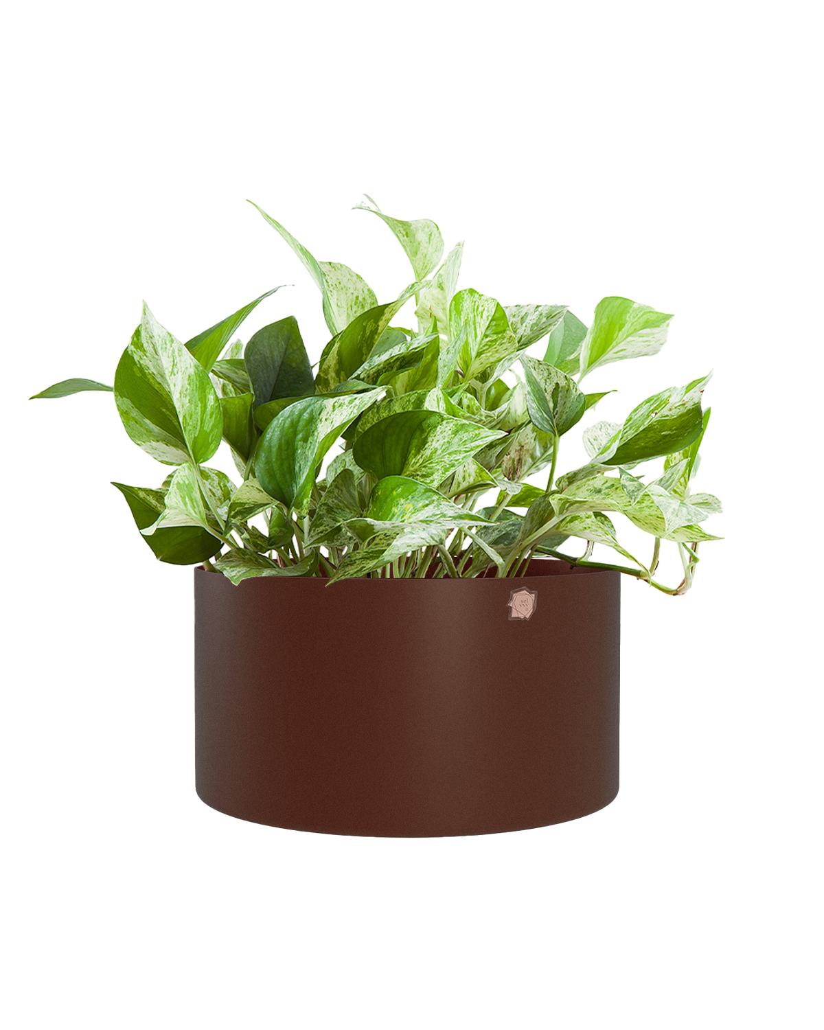 Cachepô alumínio cuia reto 25