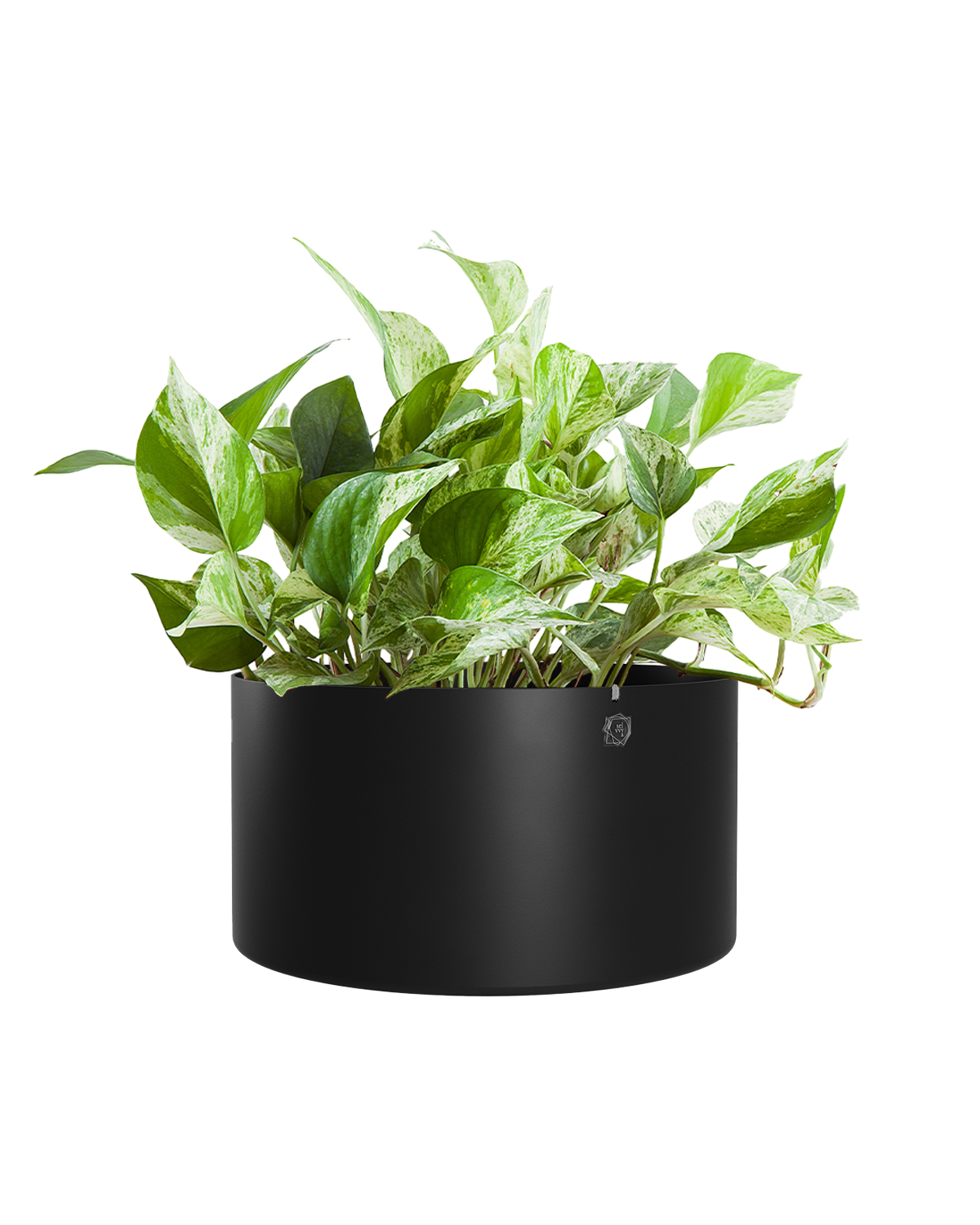 Cachepô alumínio cuia reto 25