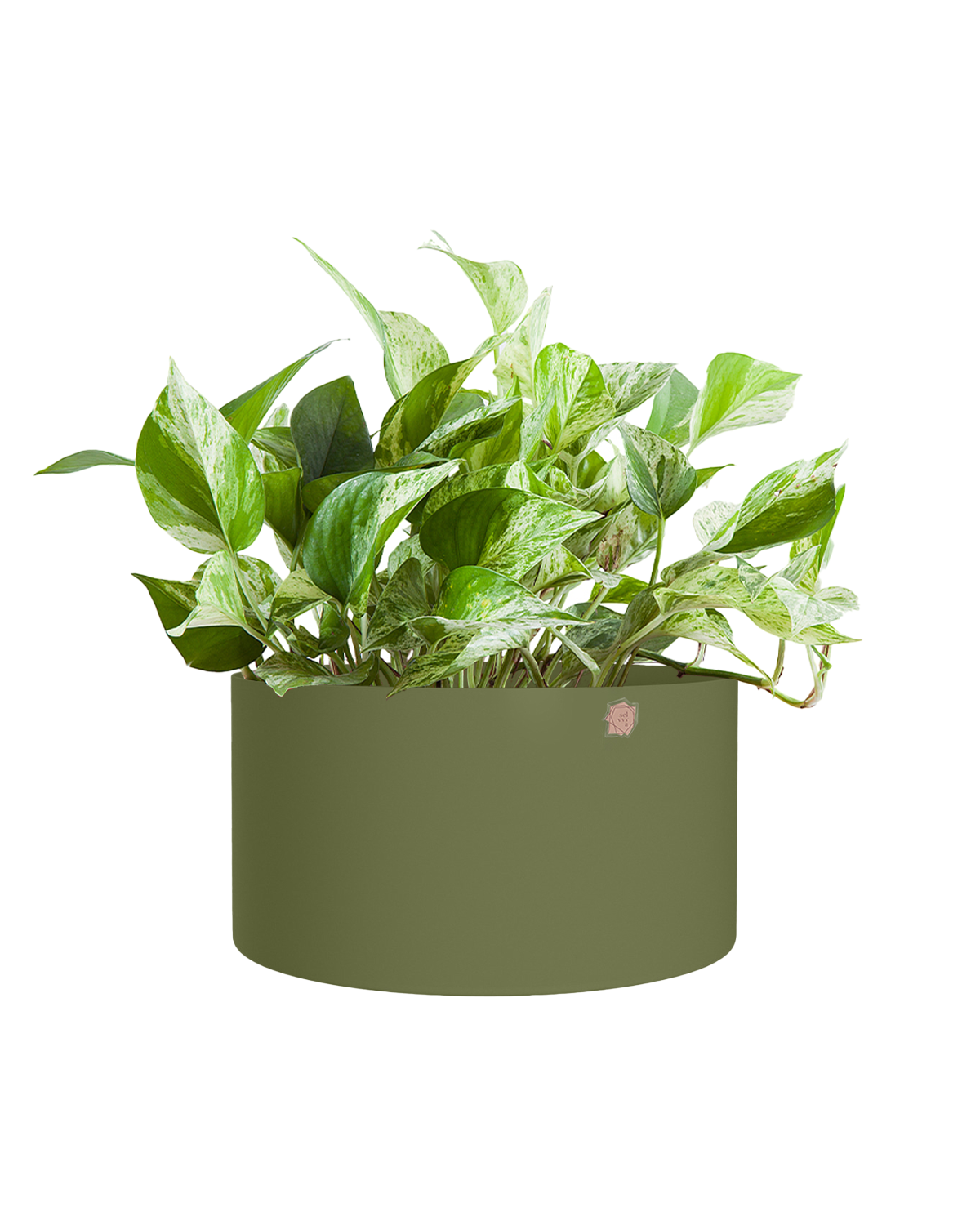 Cachepô alumínio cuia reto 25