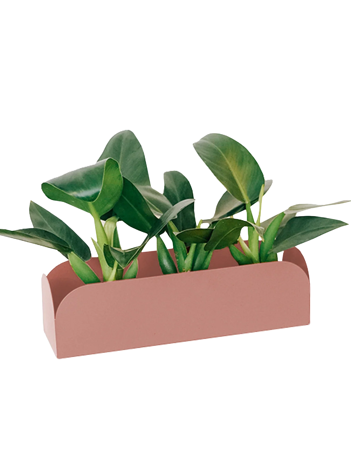 Jardineira pendurável Curió 18 - Pronta entrega