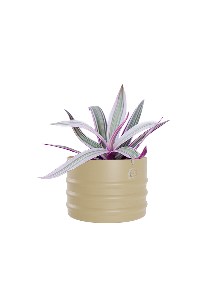 Cachepô alumínio friso 12