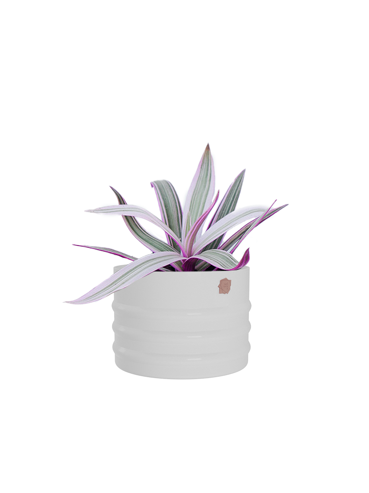 Cachepô alumínio friso 12