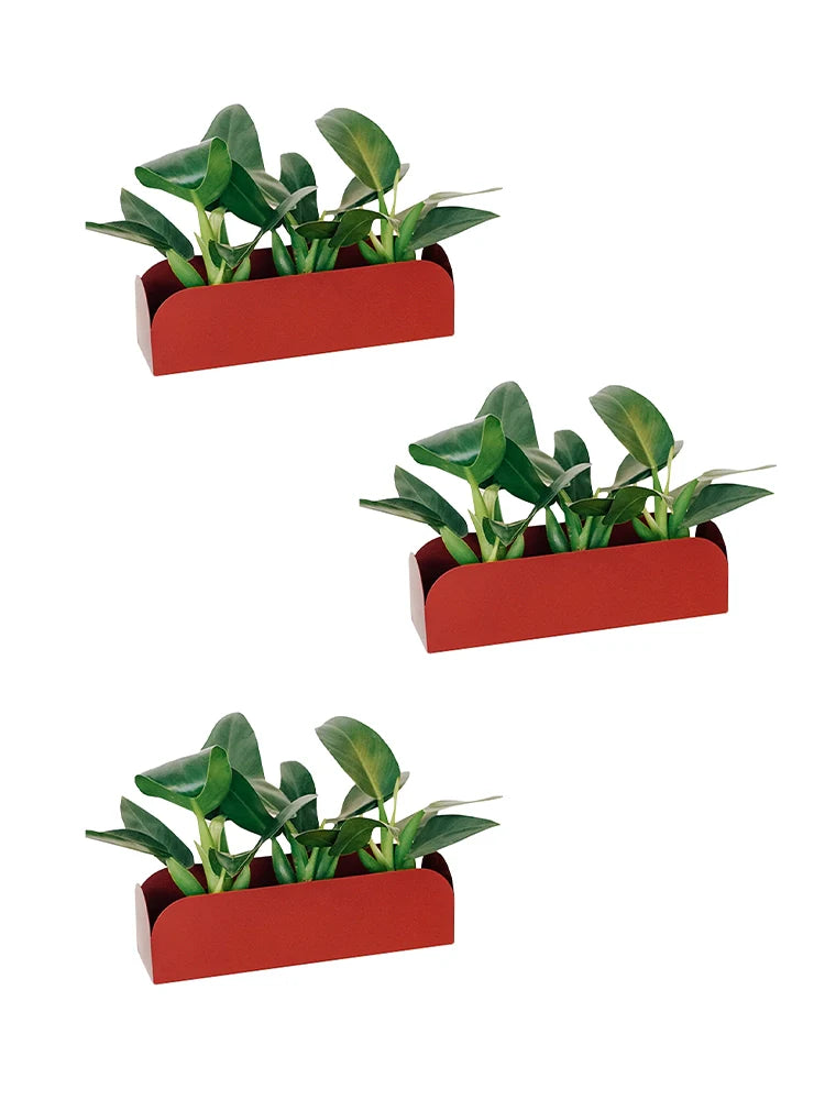 Conjunto de Jardineiras Pendurável Curió 18 (3 unid) - Sob Encomenda