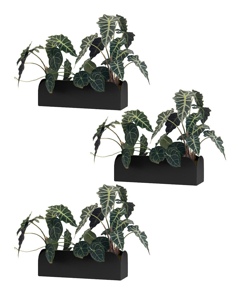 Conjunto de Jardineiras Pendurável Curió 18 (3 unid) - Sob Encomenda