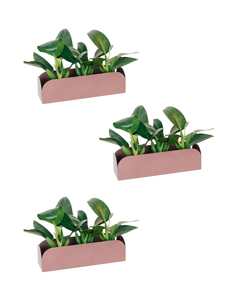 Conjunto de Jardineiras Pendurável Curió 18 (3 unid) - Sob Encomenda