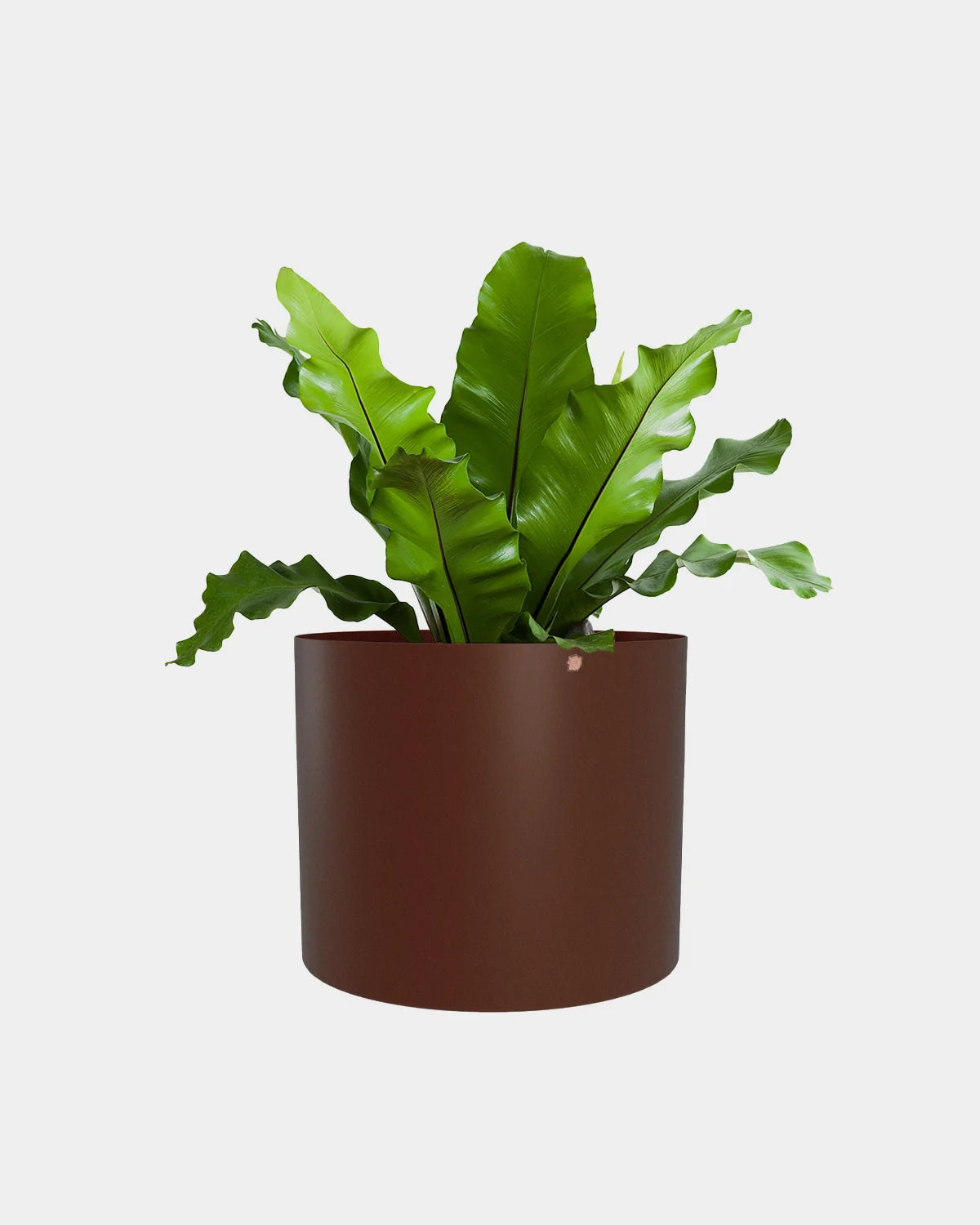 Cachepô alumínio reto 38