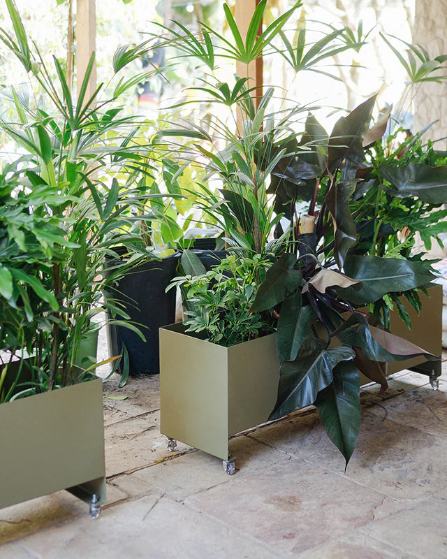 Jardineira Curió 33x120 - Sob encomenda