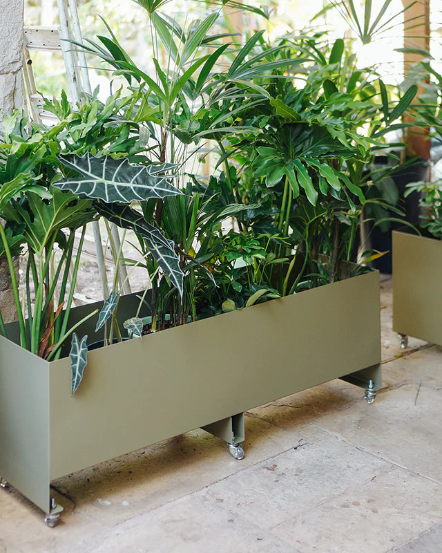 Jardineira Curió 33x120 - Sob encomenda