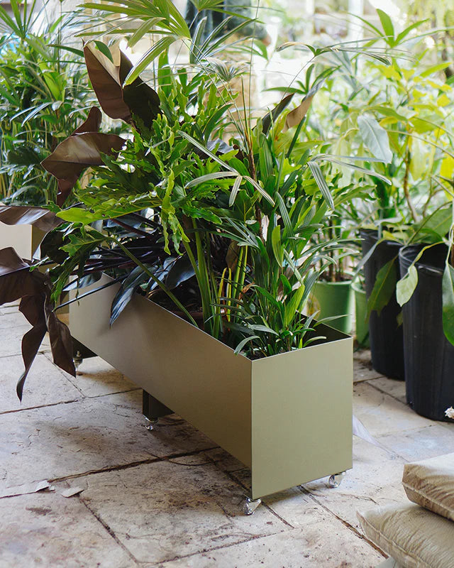 Jardineira Curió 33x120 - Sob encomenda