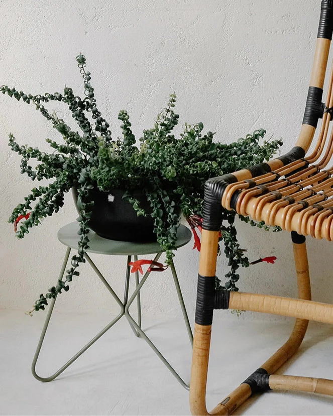 Cachepô alumínio cuia liso 25