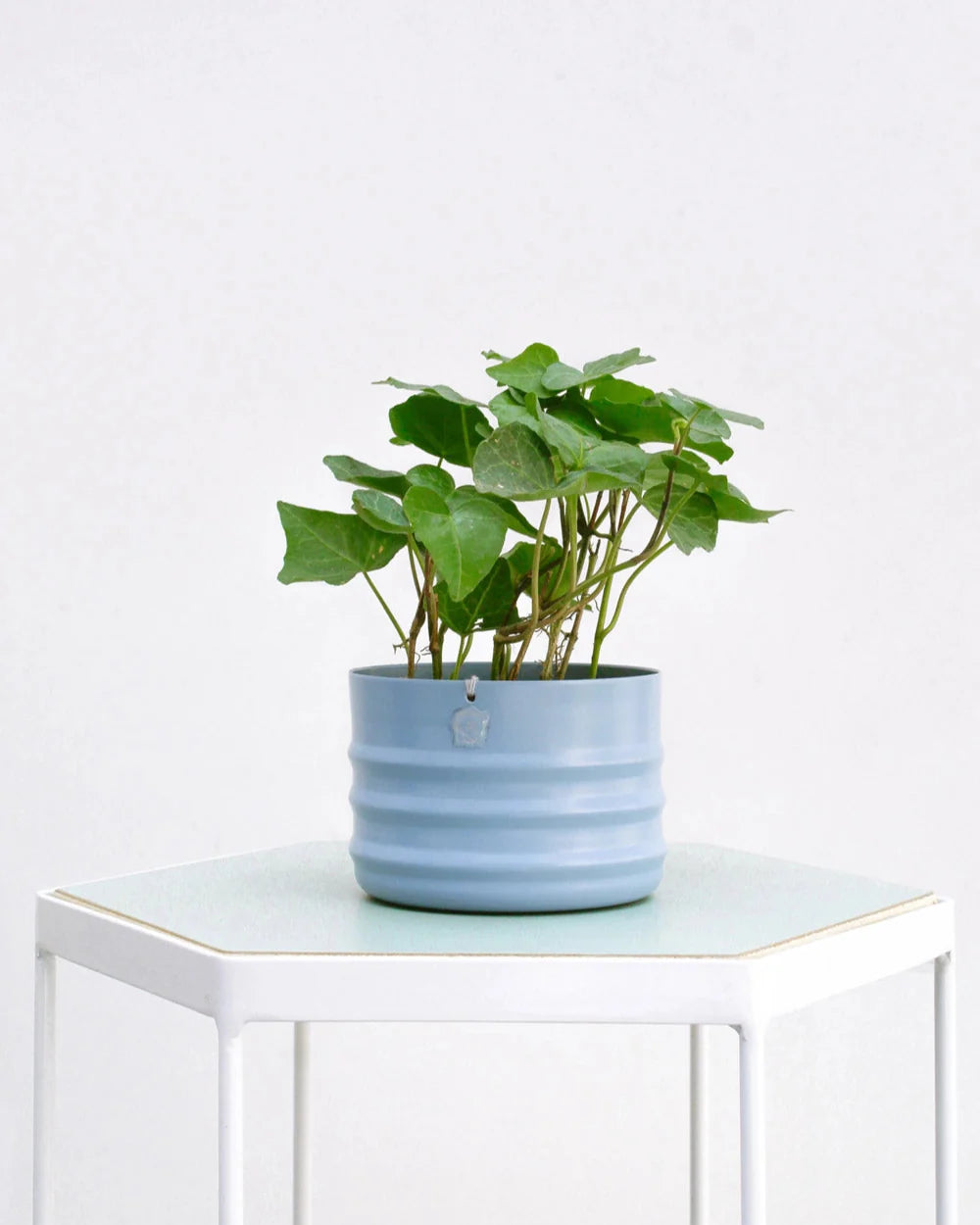 Cachepô alumínio friso 12