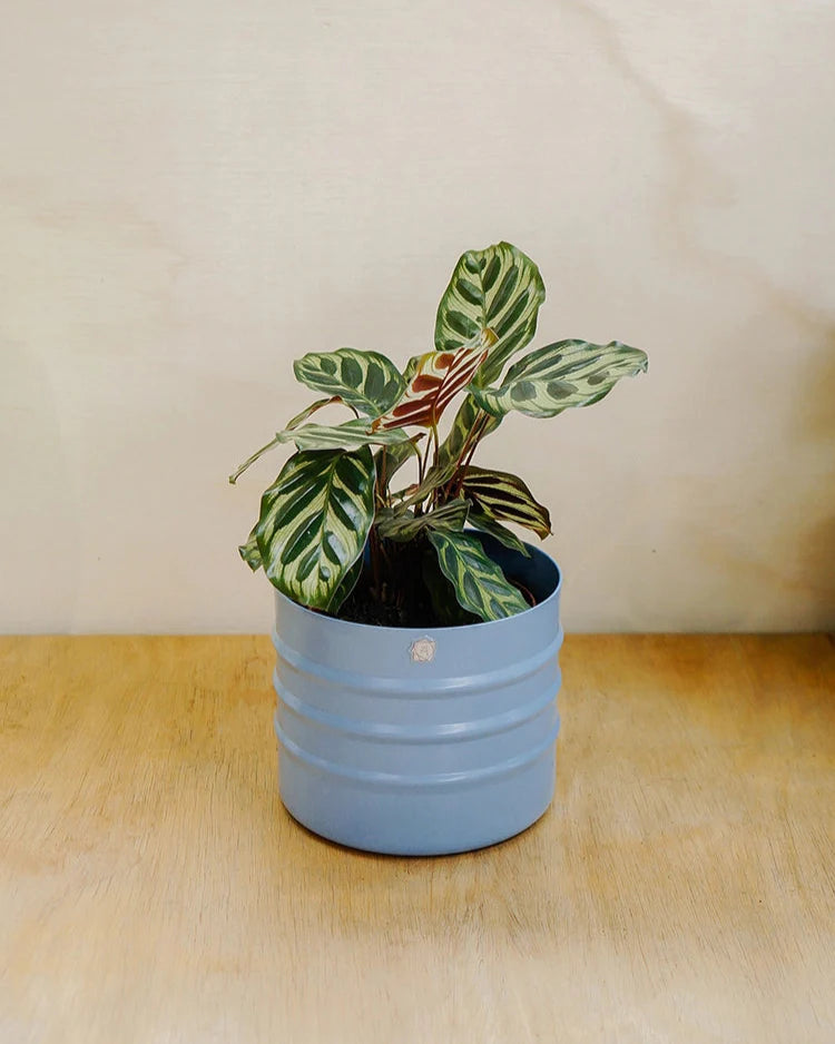 Cachepô alumínio friso 15