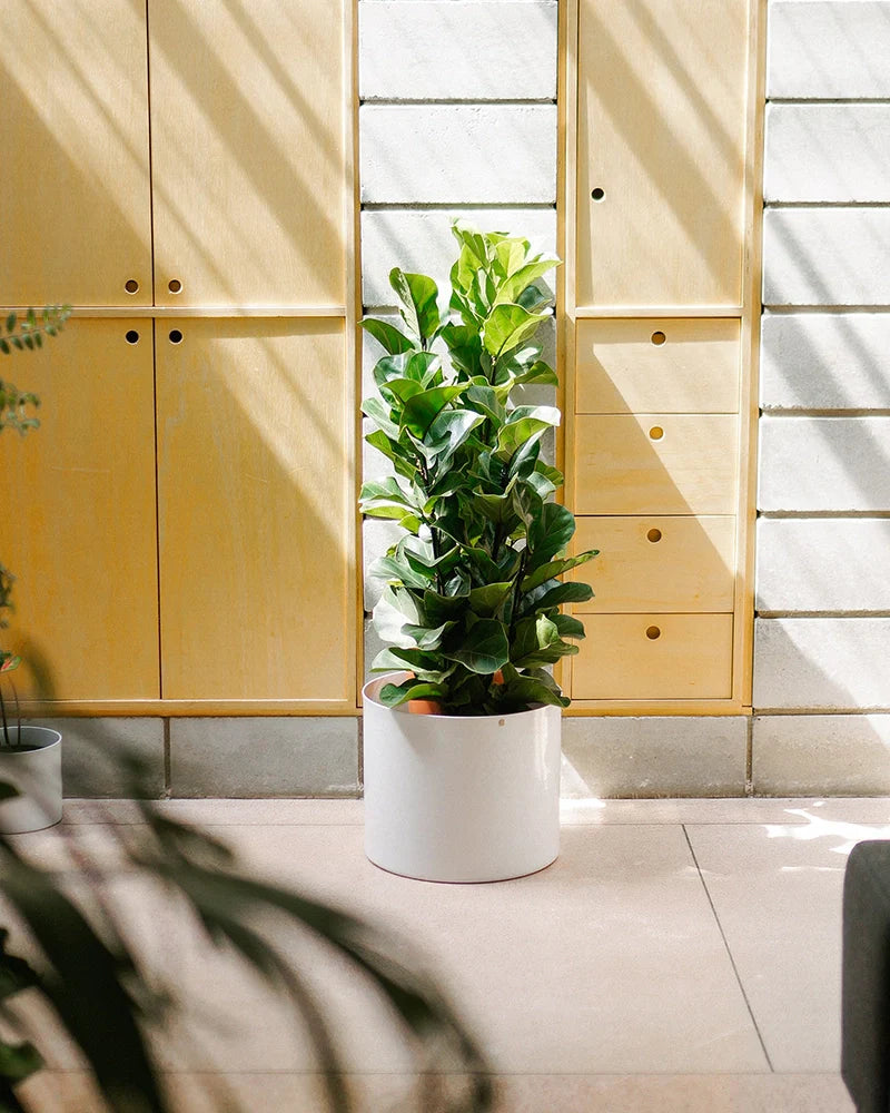 Cachepô alumínio reto 38