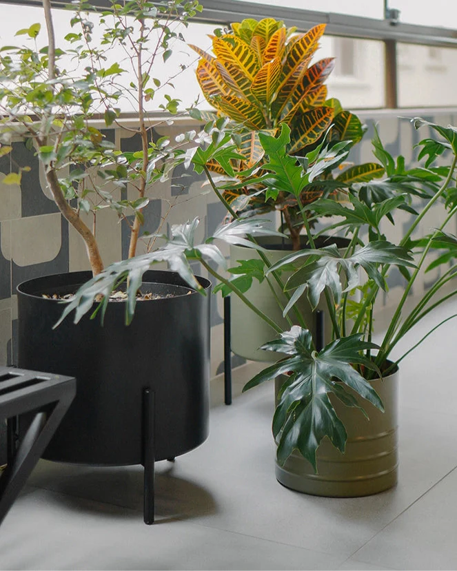 Cachepô alumínio reto 38 - Cores sob encomenda