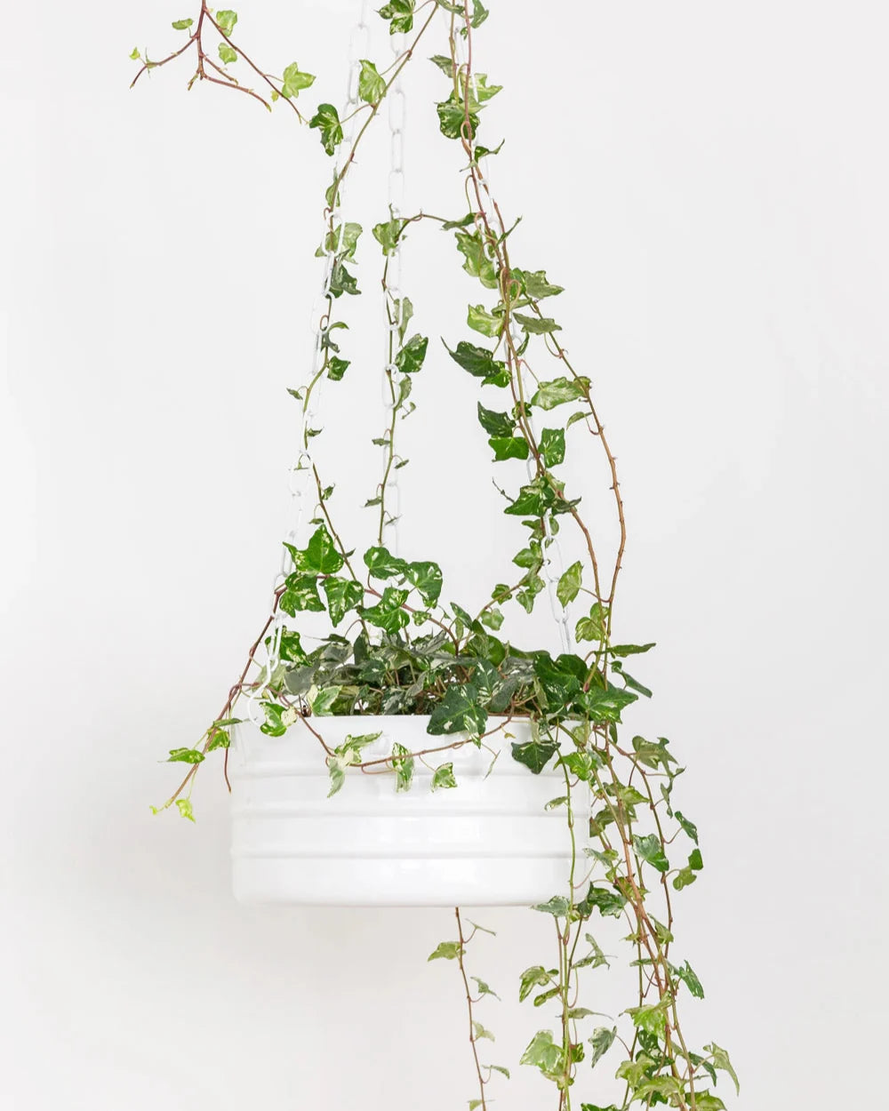 Cachepô pendurável cuia friso 25