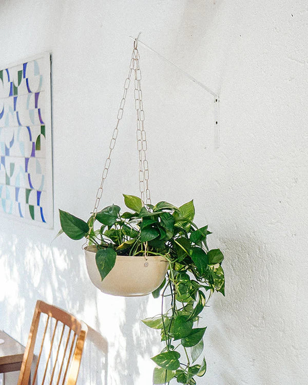 Cachepô pendurável cuia liso 25