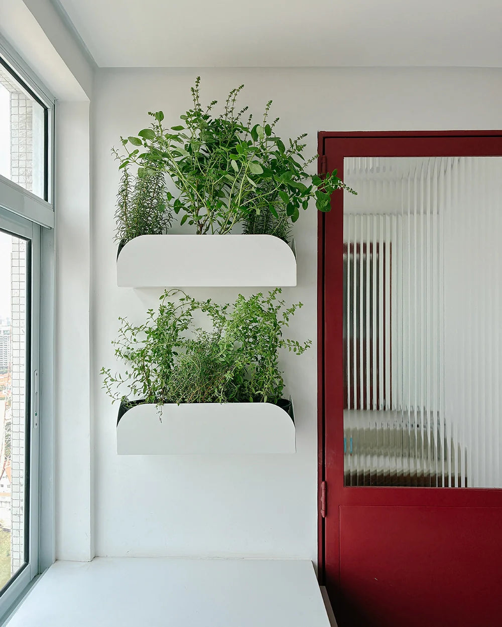 Jardineira pendurável Curió 15