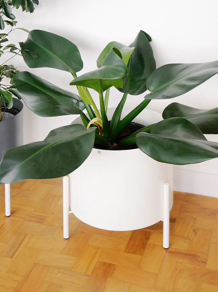 Conjunto - Suporte Rouxinol 38 + Cachepô reto 38