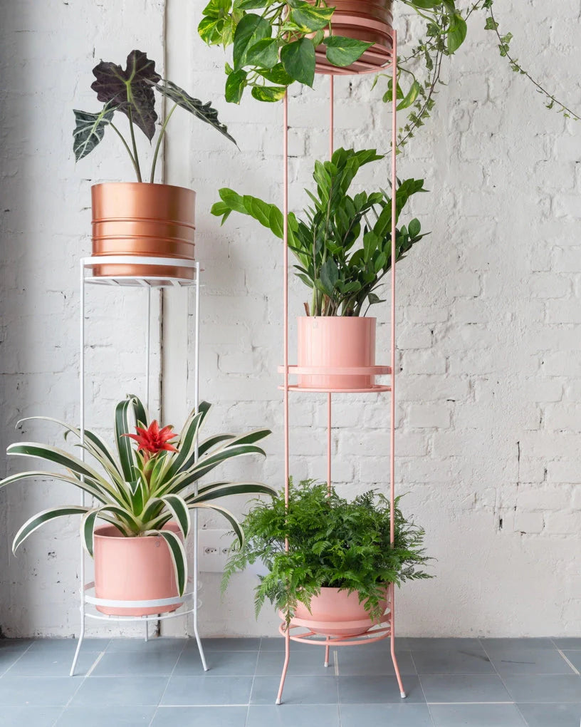 Suporte para plantas Sabiá 100 - Sob encomenda