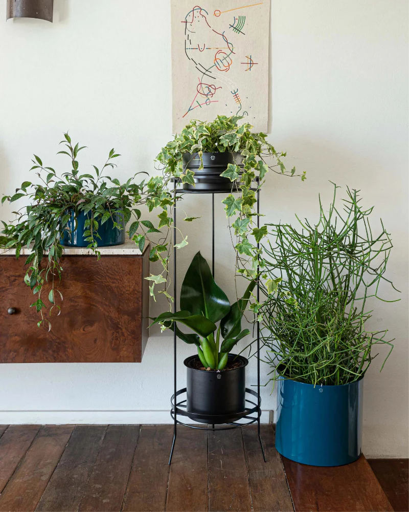 Suporte para plantas Sabiá 100 - Sob encomenda