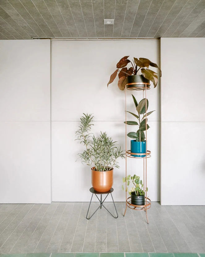 Suporte para plantas Sabiá 150 - Sob encomenda