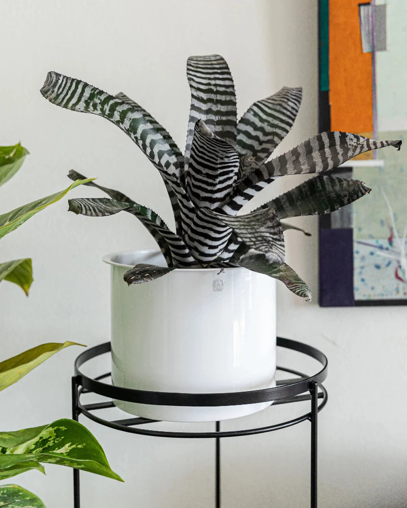 Cachepô alumínio com aba 21