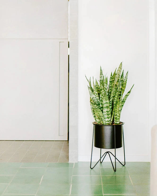 Cachepô alumínio com aba 21