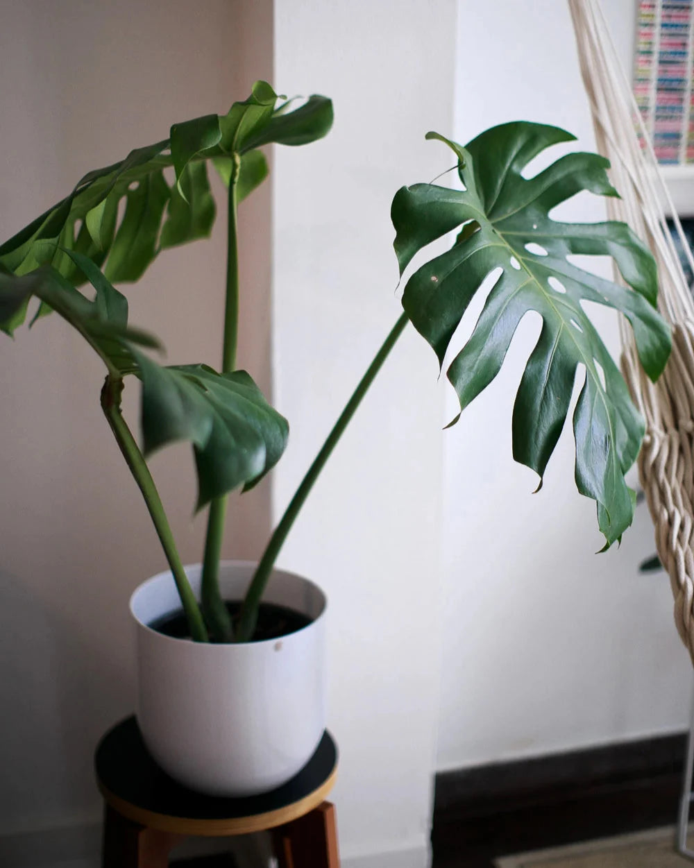 Cachepô alumínio arredondado 25