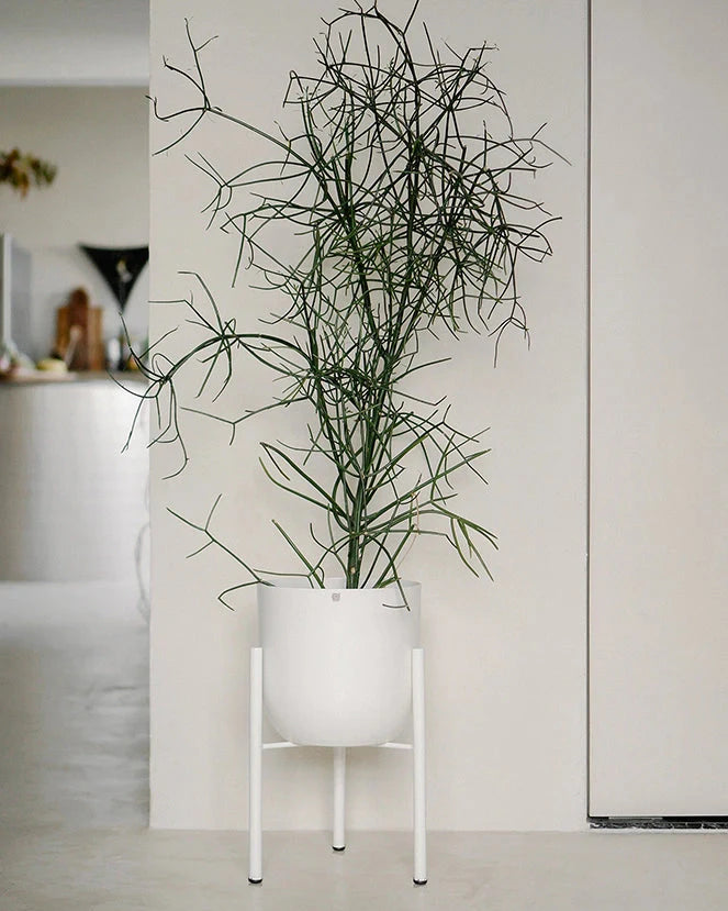 Cachepô alumínio arredondado 25