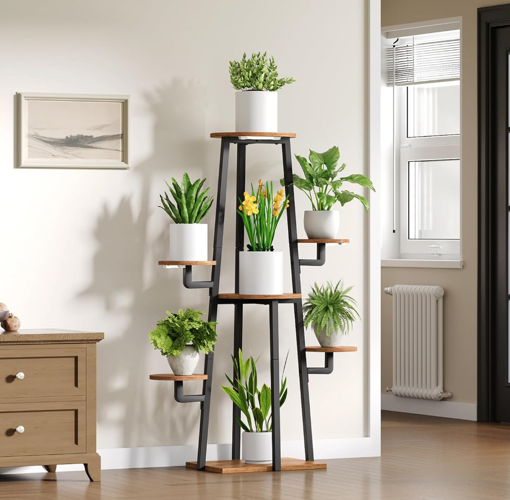 The Haven Glow Stand