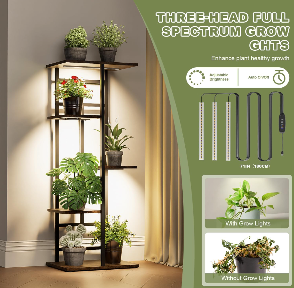 The Luma Grove Stand