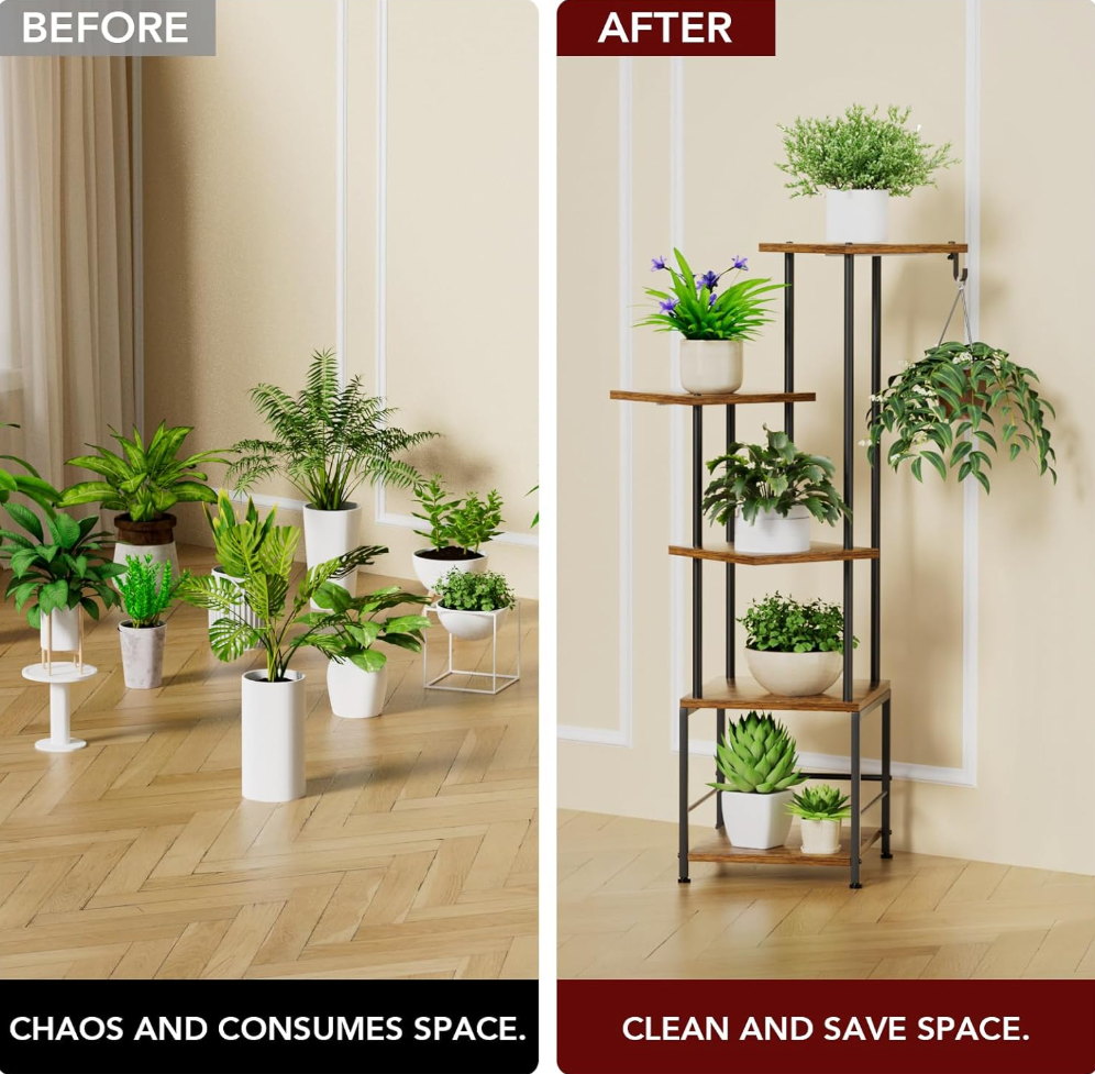 The Solara Grove Stand