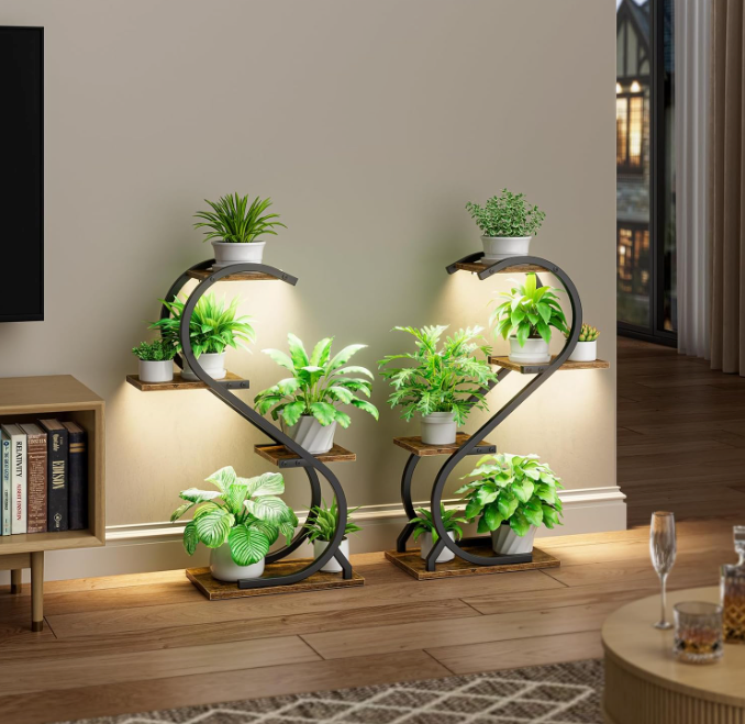 The Evergreen Glow Stand