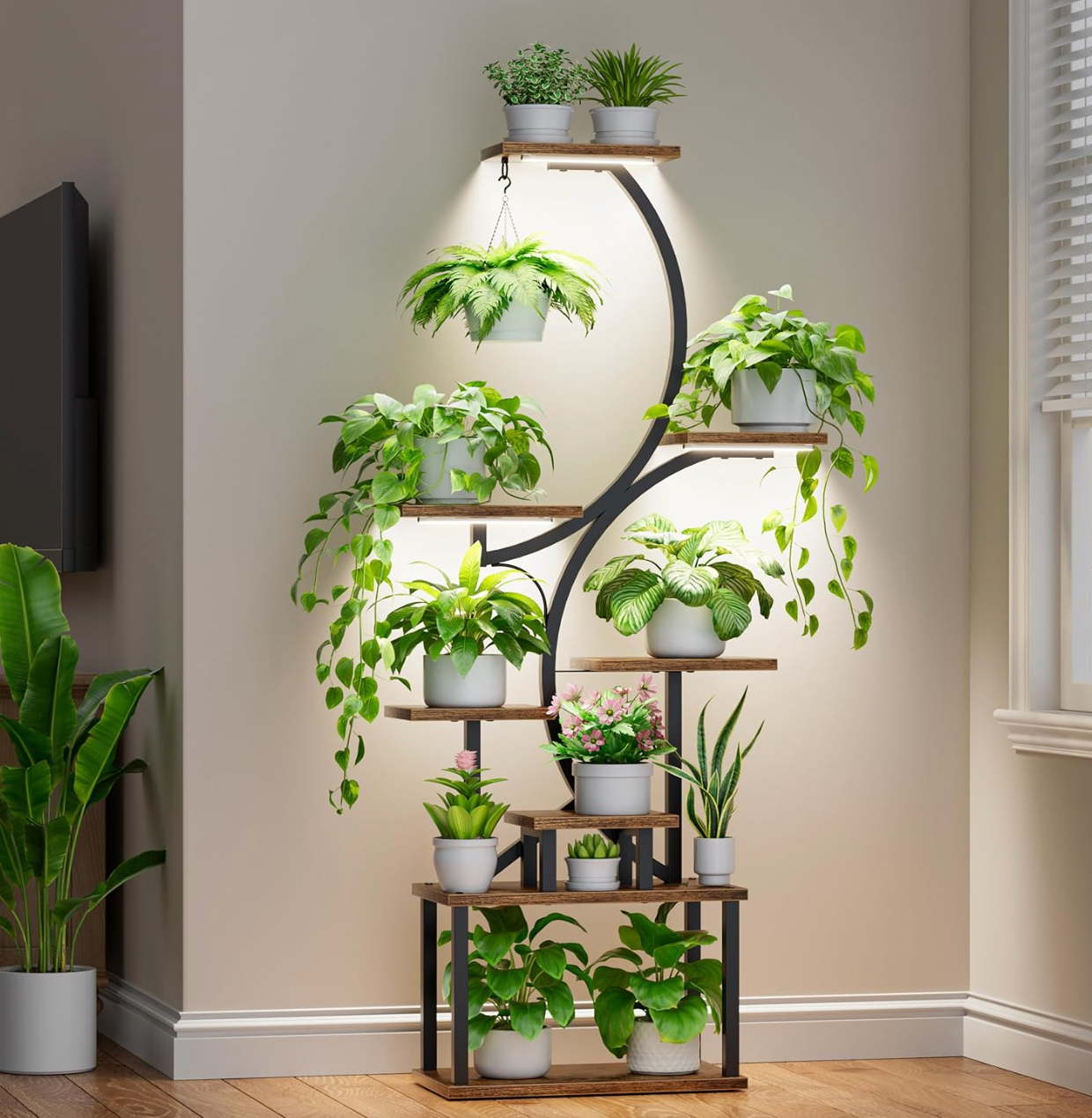 The Verdant Glow Ladder