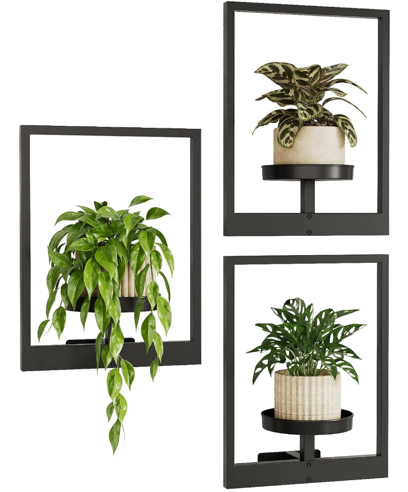 The Framed Flora Wall Display Set